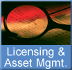 License and Asset Management